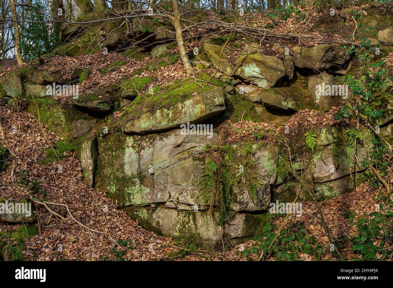 Gritstone quarry that once housed two adits for now-abandoned mine workings for ganister, found in Beeley Wood, Oughtibridge, near Sheffield. Stock Photo