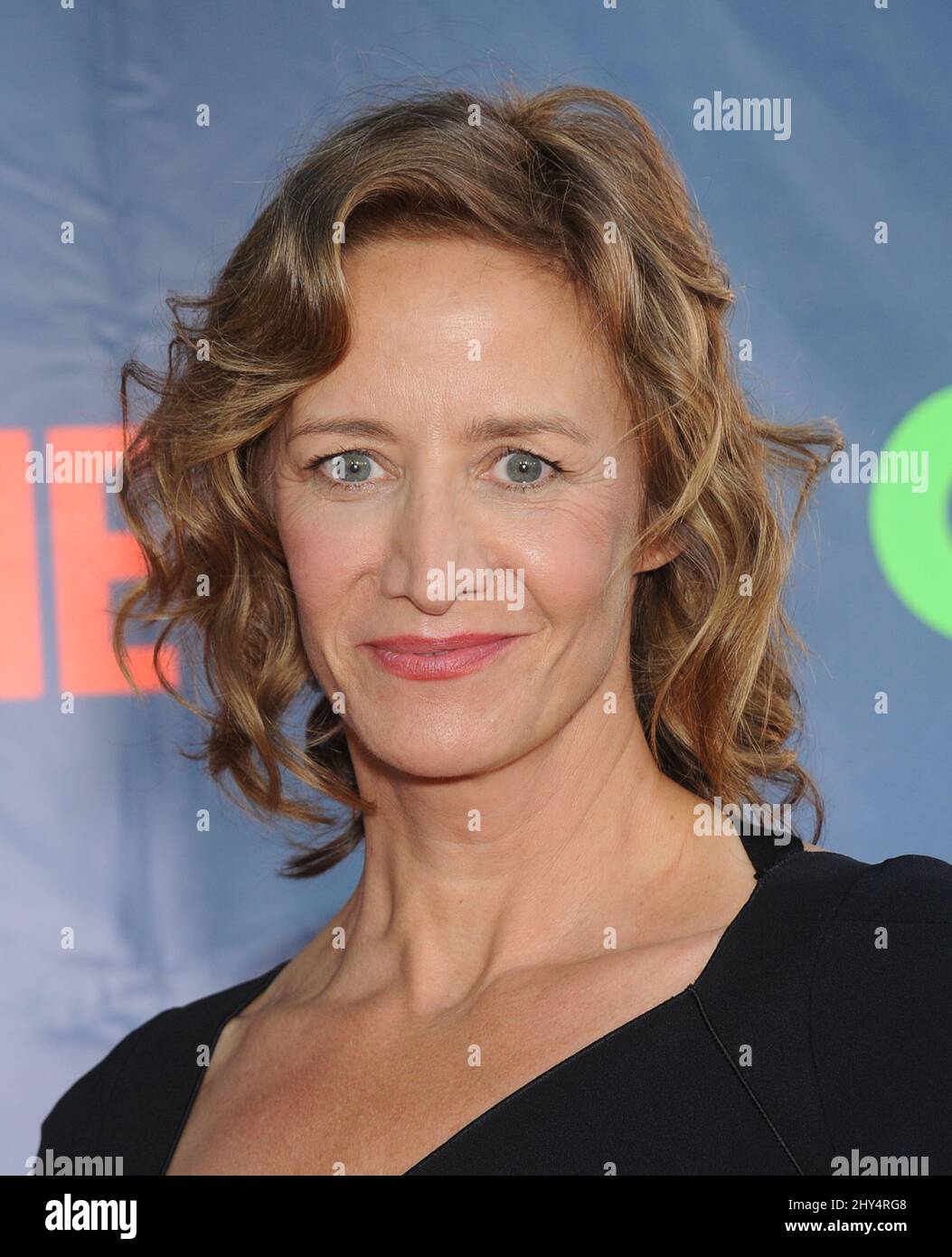 Janet McTeer attending the CBS-CW-Showtime Summer TCA Press Tour 2014