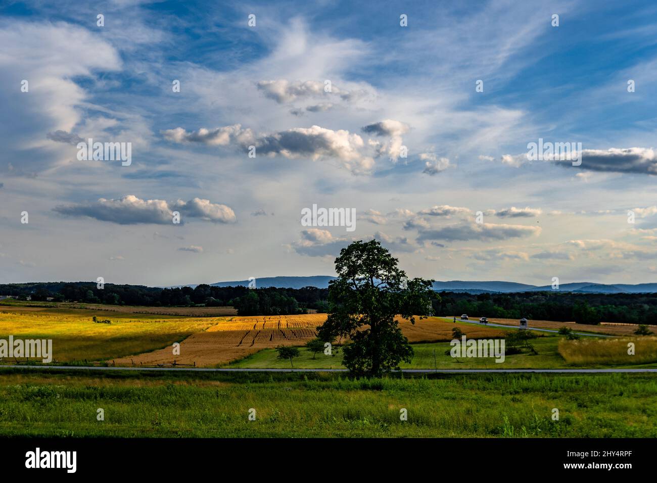 Lone tree in a field against a blue cloudy sky in Gettysburg, Pennsylvania Stock Photo