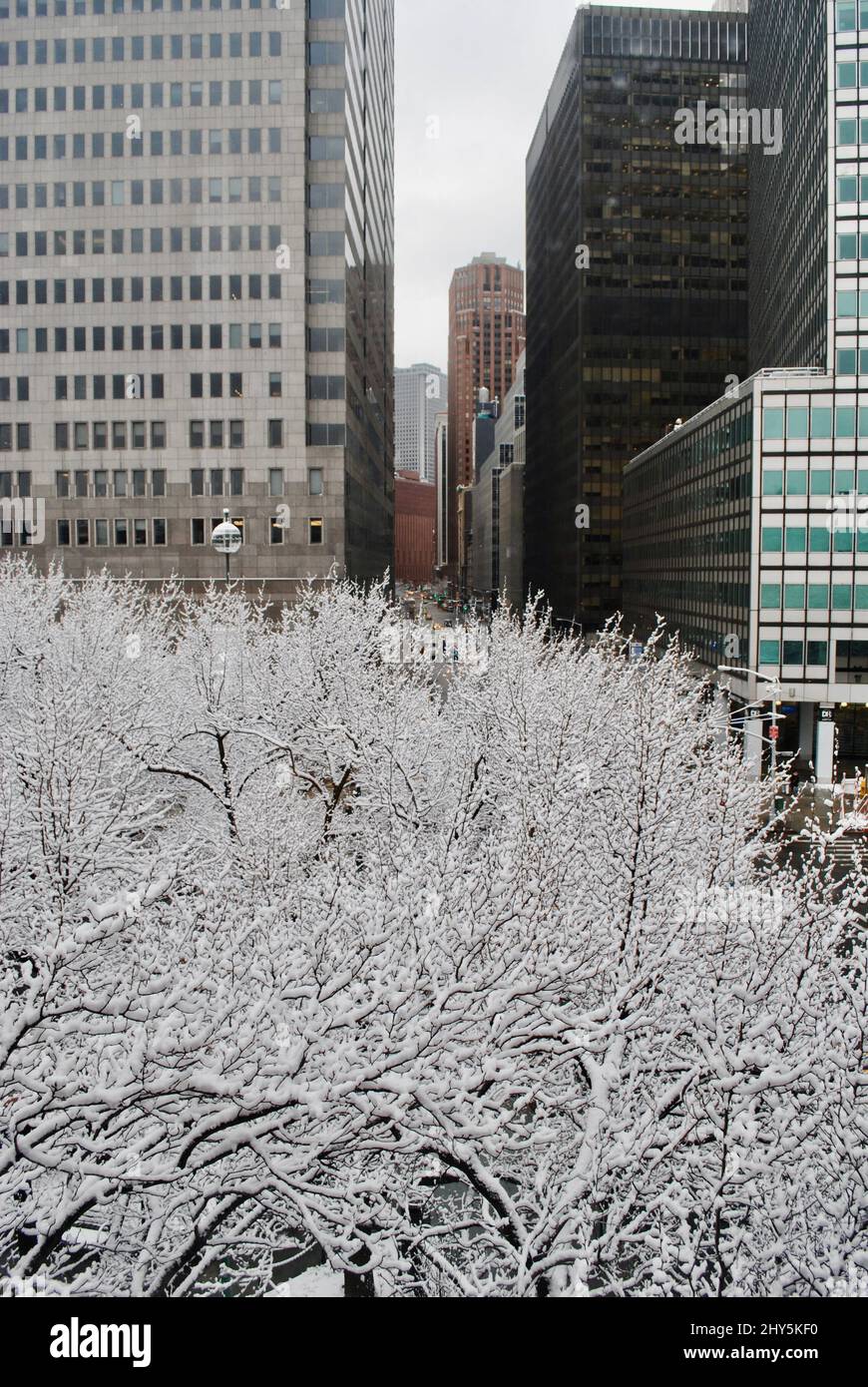 Top of Titanic Memorial Park and Water street in downtown
