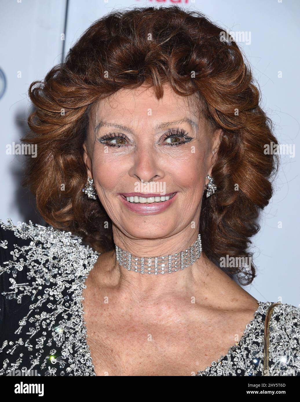 Actress Sofia Loren attends the special tribute to her during the AFI FEST 2014 at Dolby Theatre on Wednesday, Nov. 12, 2014 in Hollywood, CA. Stock Photo