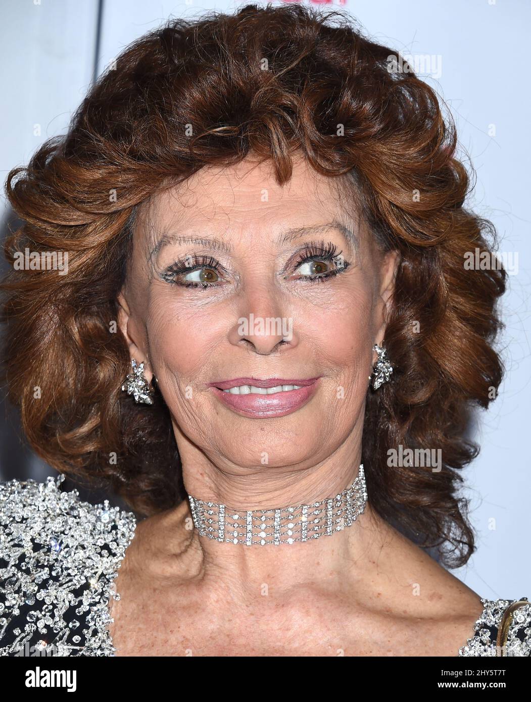 Actress Sofia Loren attends the special tribute to her during the AFI FEST 2014 at Dolby Theatre on Wednesday, Nov. 12, 2014 in Hollywood, CA. Stock Photo