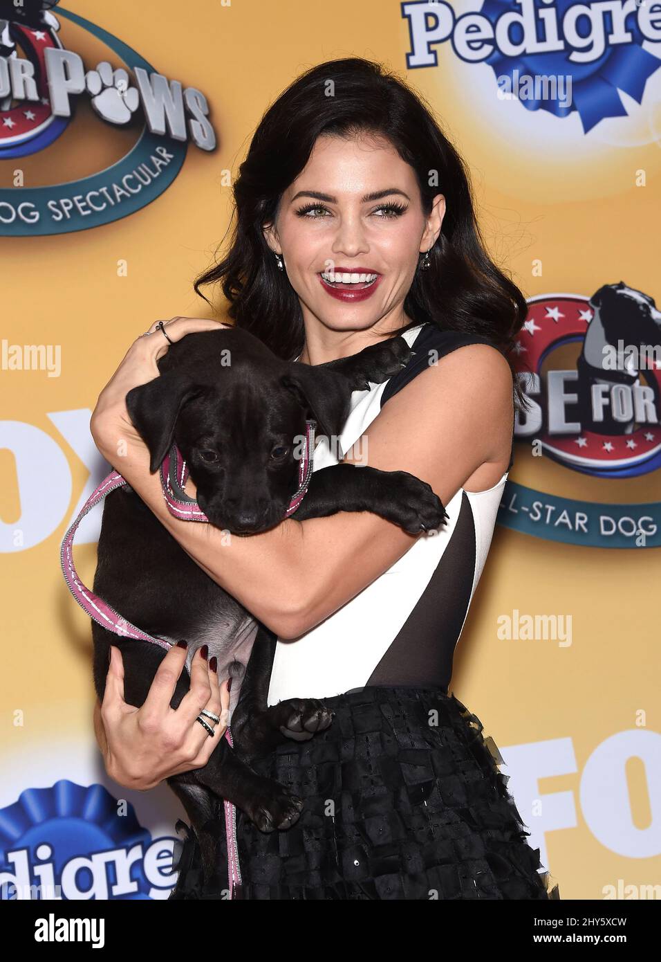 Jenna dewan tatum einstein attending foxs cause paws hi-res stock