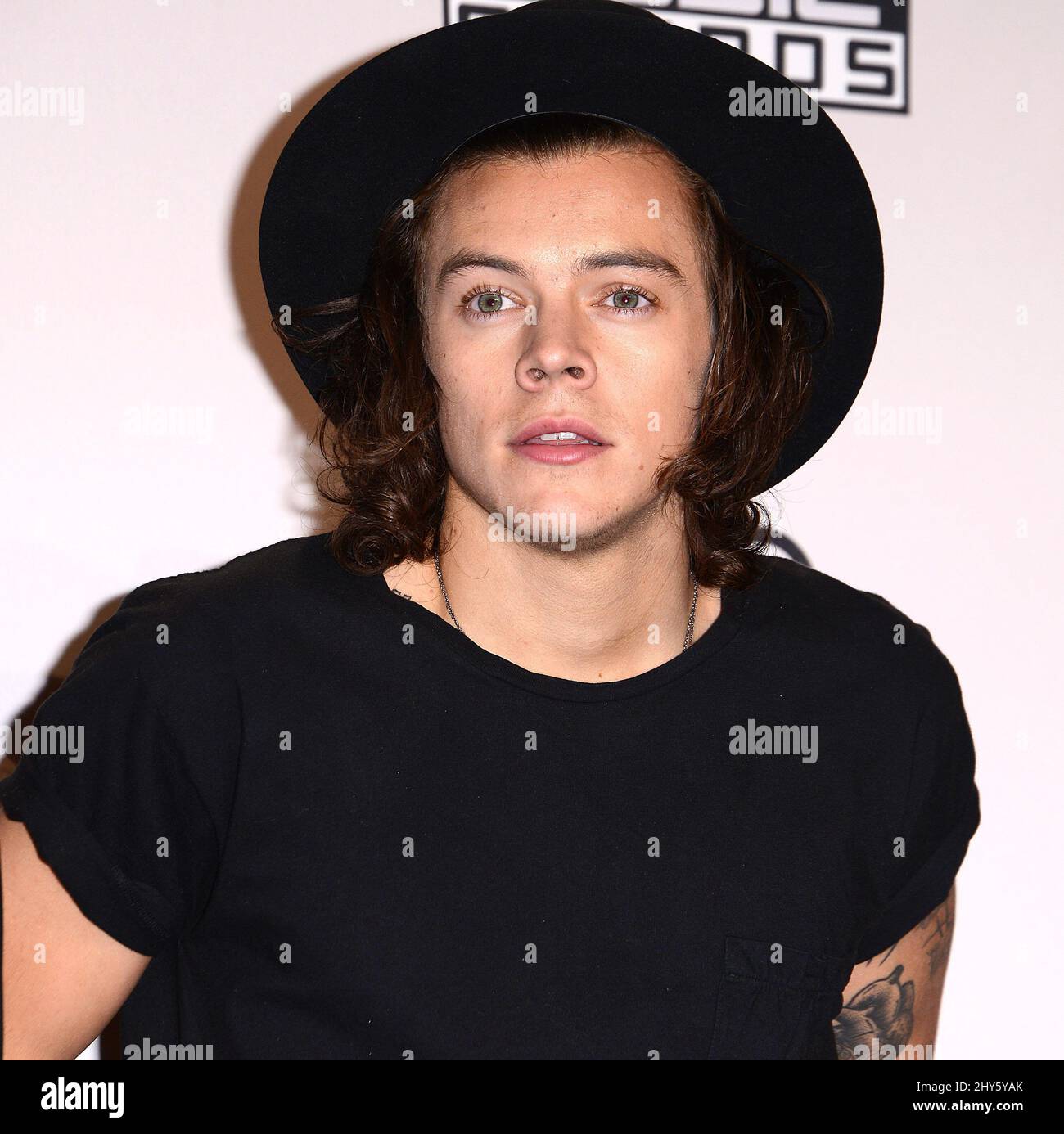 HARRY　TOUR 2014 Harry Styles at Wembley Stadium 7th June 2014 | One Directio… | Flickr