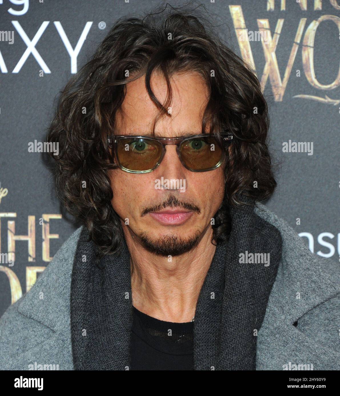 Chris Cornell attending the 'Into The Woods' World Premiere at the Ziegfeld Theatre in New York, USA. Stock Photo