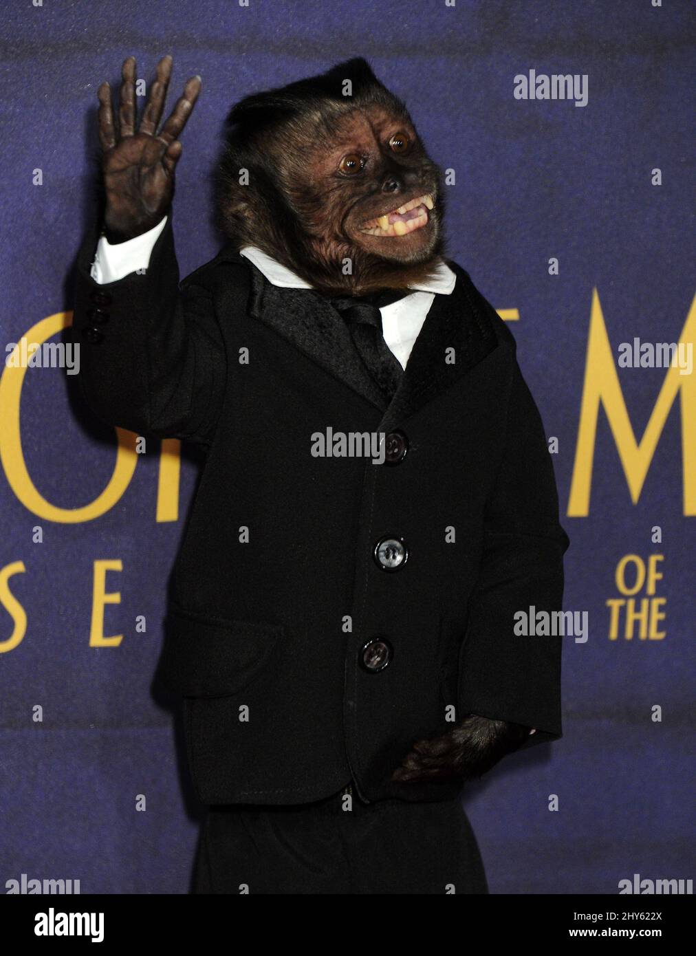 Monkey Crystal aka Dexter attending 'Night At The Museum: Secret of The Tomb' premiere held at the Ziegfeld Theatre in New York, USA. Stock Photo