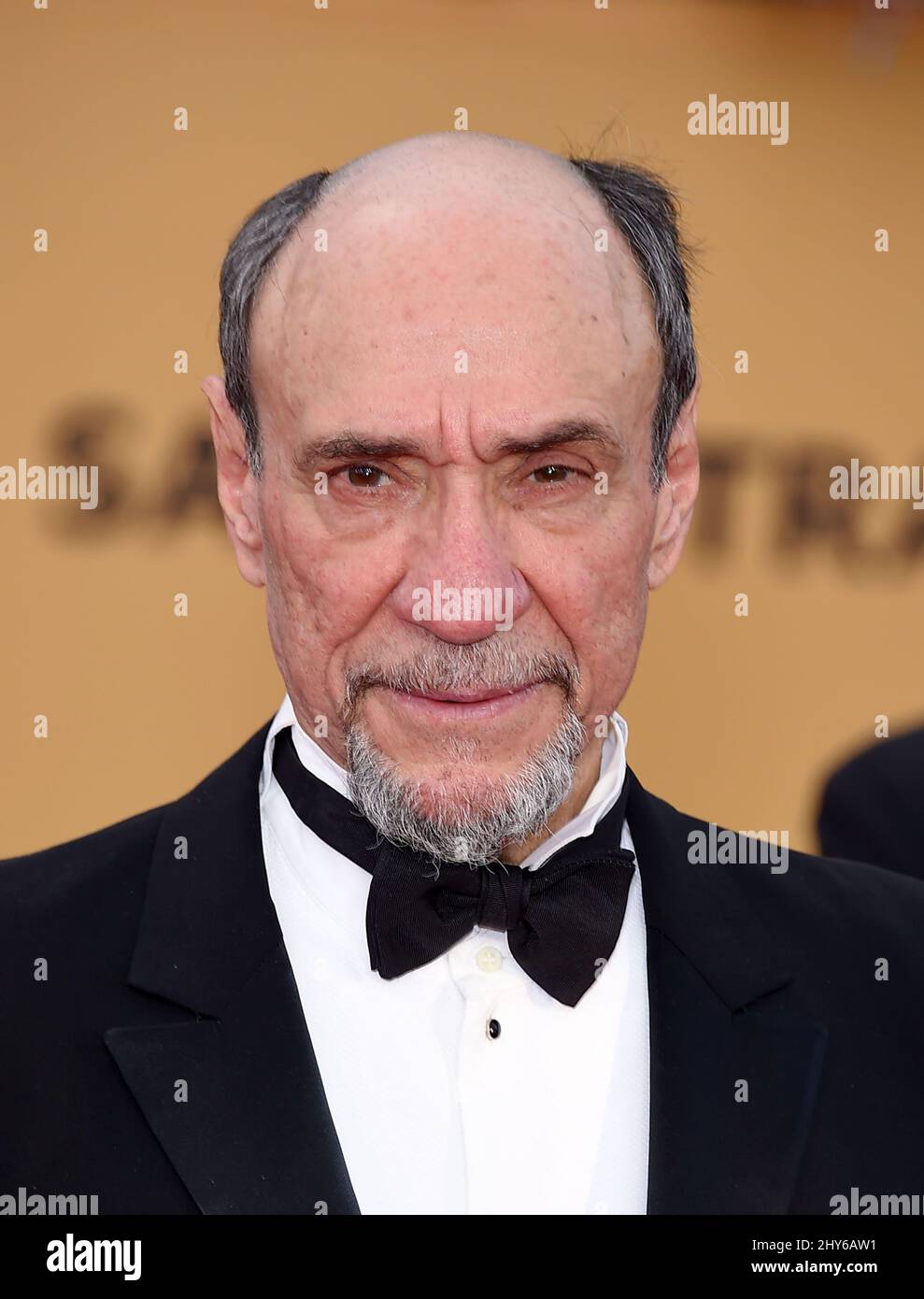 F. Murray Abraham attending the 21st Annual Screen Actors Guild Awards held at the Shrine Auditorium Stock Photo
