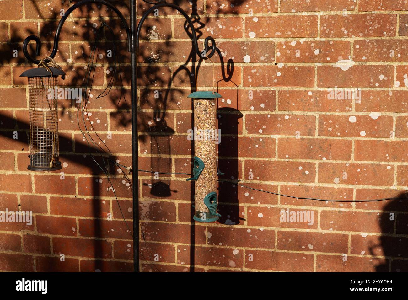 Bird feeder and its shadow seen in the garden against a brick wall