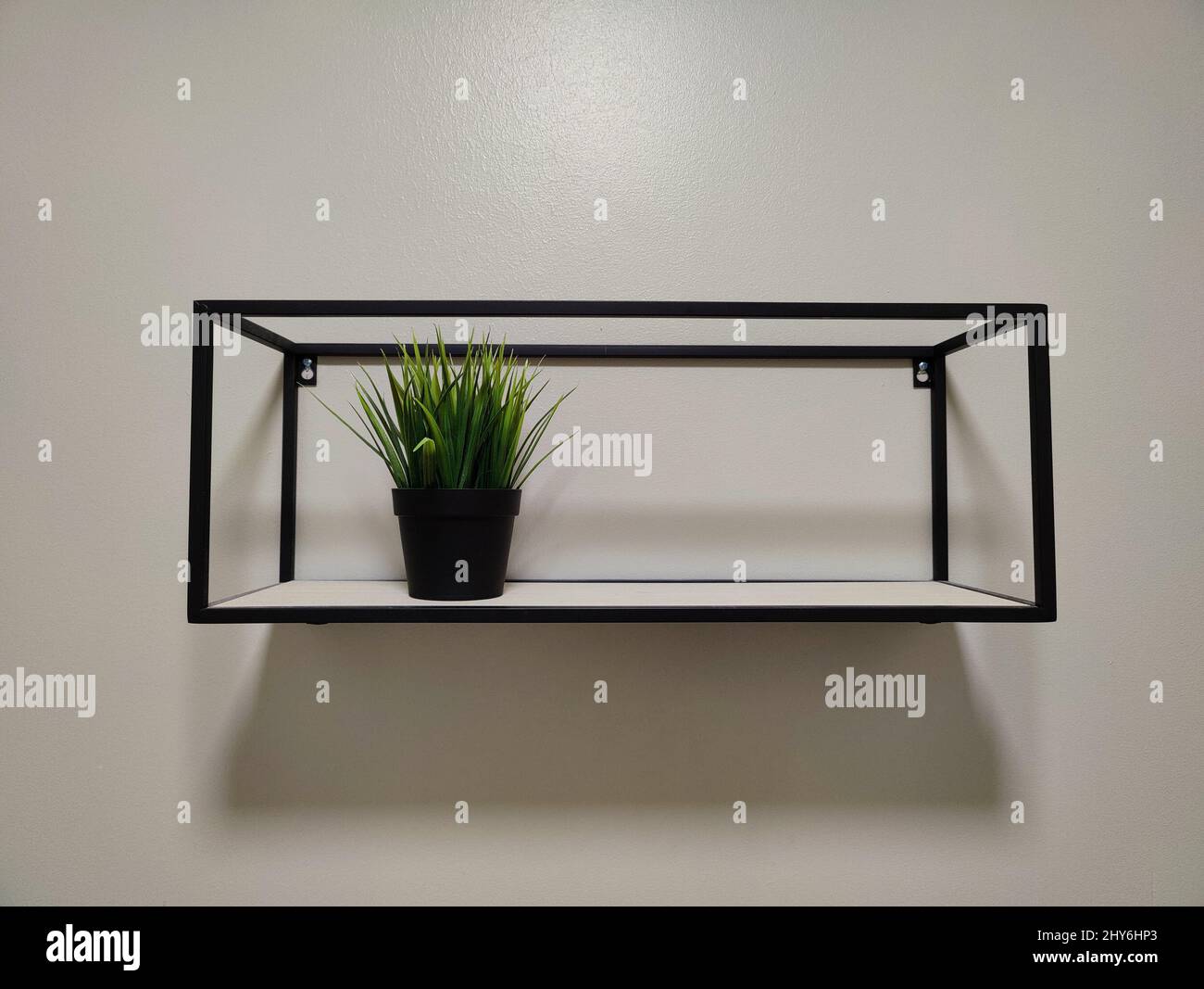 Plant on a shelf hanging from a wall Stock Photo Alamy