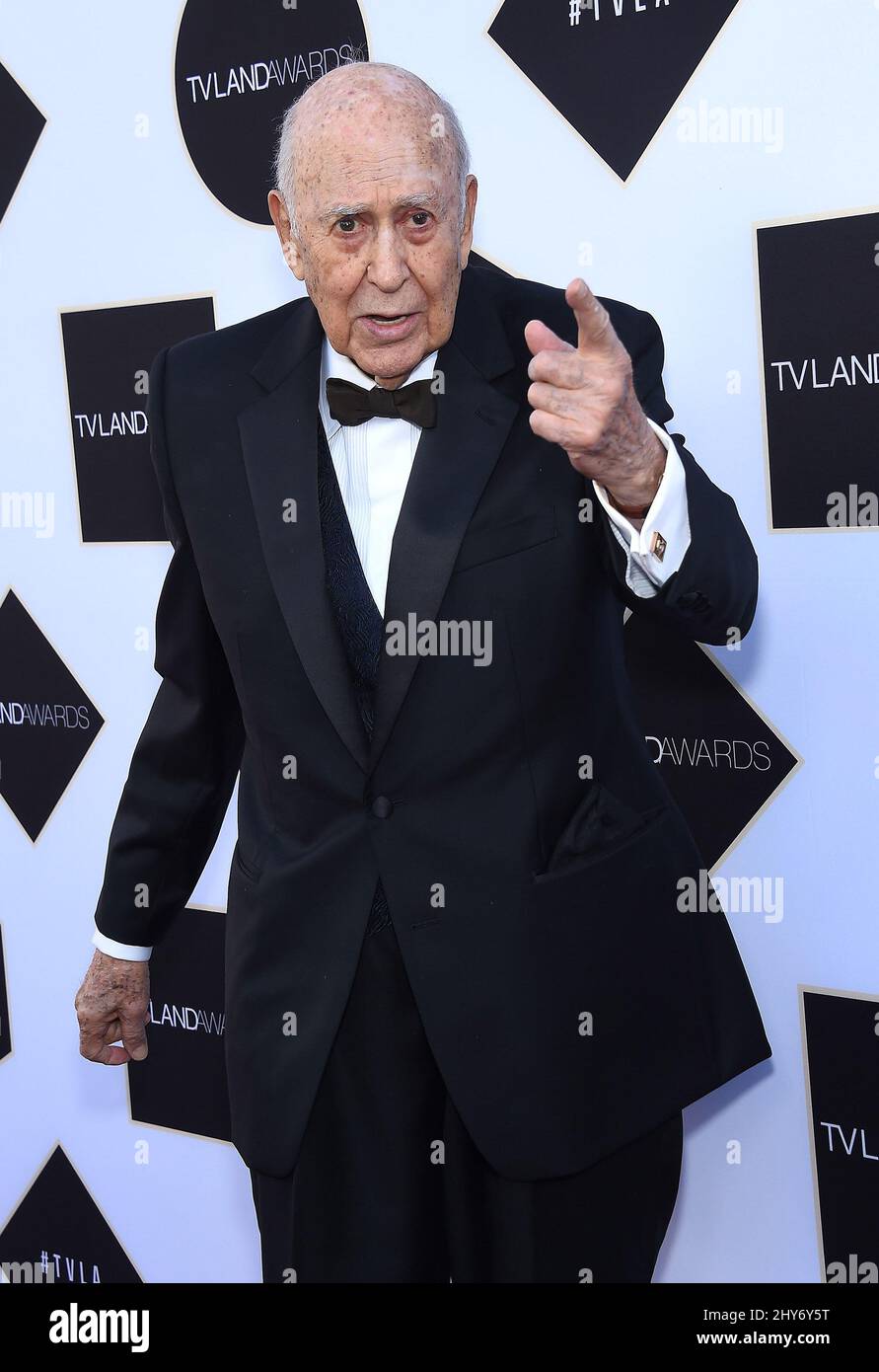 Carl Reiner attending the 2015 TV LAND Awards held at Saban Theatre in Los Angeles, USA. Stock Photo