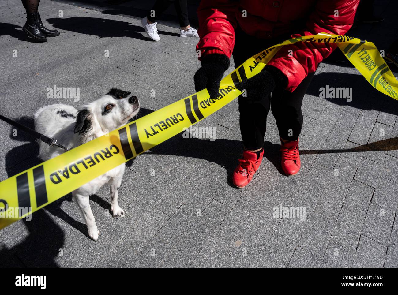 Madrid, Spain. 13th Mar, 2022. A pro-animal rights group AnimaNaturalis  activist is seen with her dog during the demonstration against the use of  animals in the fur industry in Madrid. Credit: SOPA