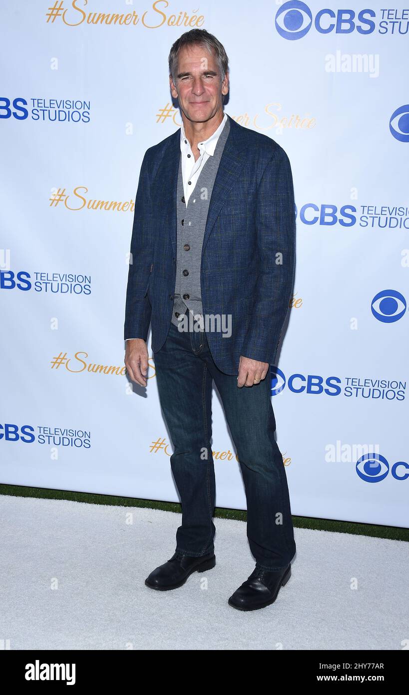 Scott Bakula attending the CBS Summer Soiree held at The London Hotel Stock Photo