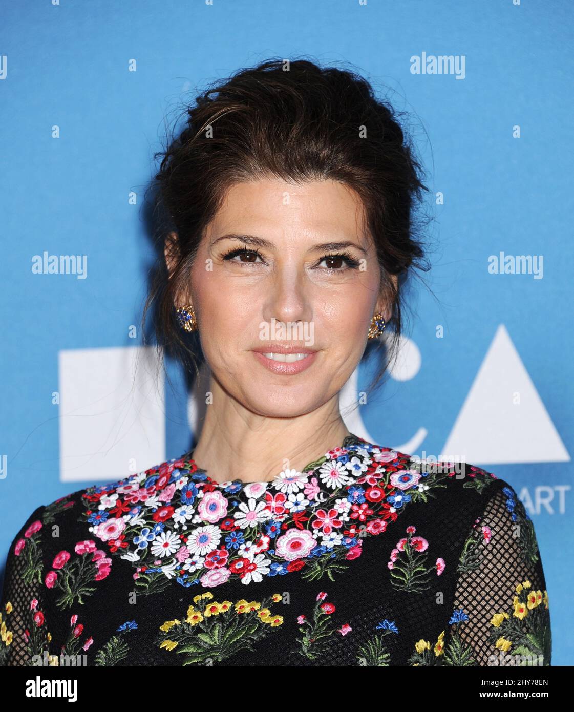 Marisa Tomei attends the annual Museum of Contemporary Art Gala in Los Angeles on Saturday, May 30, 2015. Stock Photo