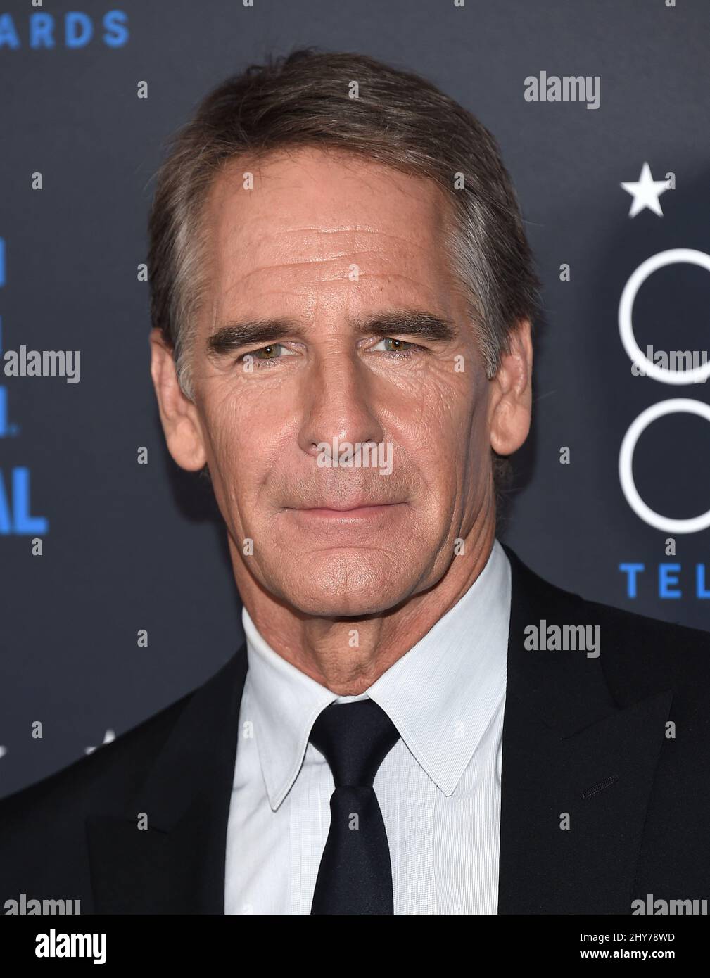 Scott Bakula attends the fifth annual Critic's Choice Television Awards