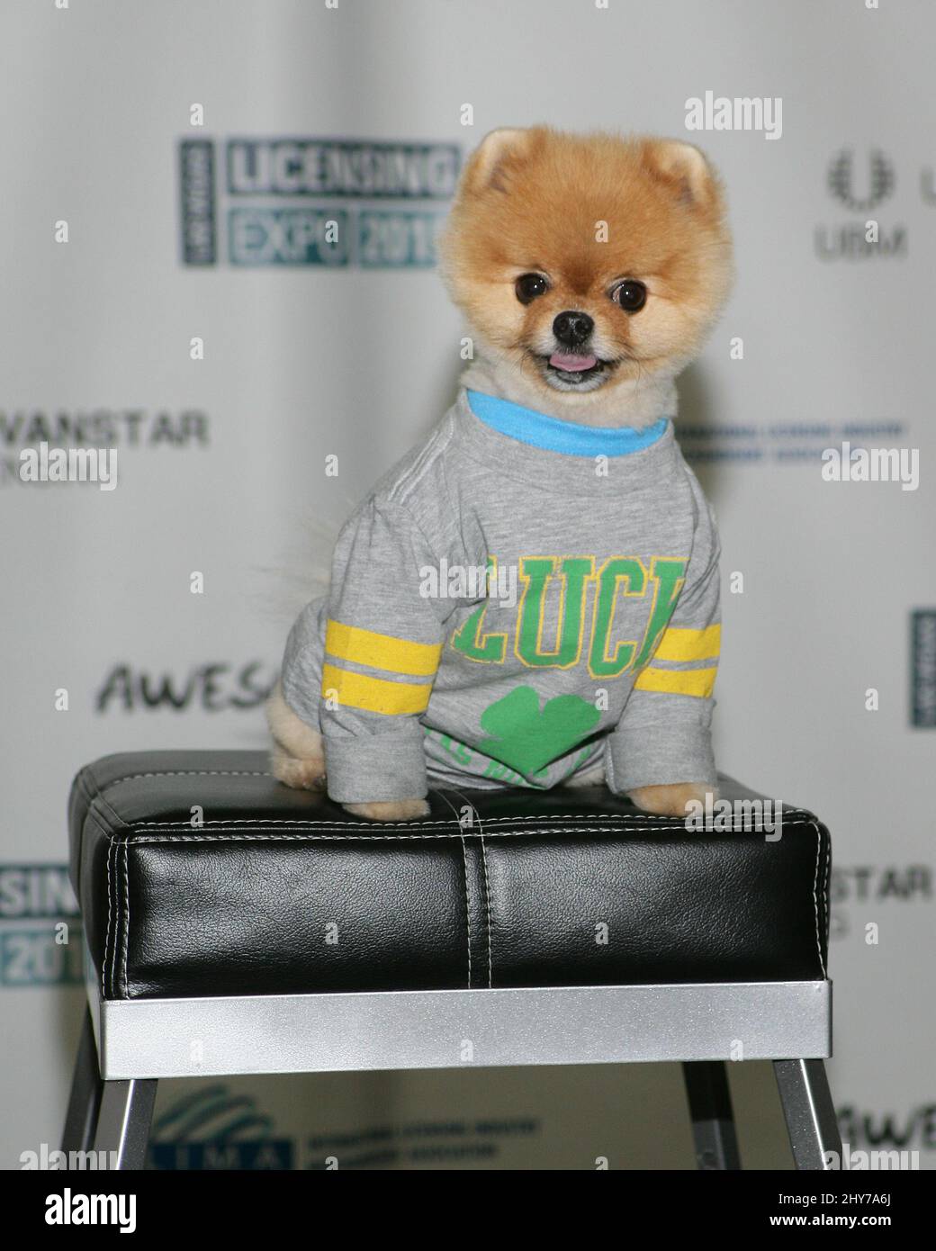 Jiff dog hi-res stock photography and images - Alamy