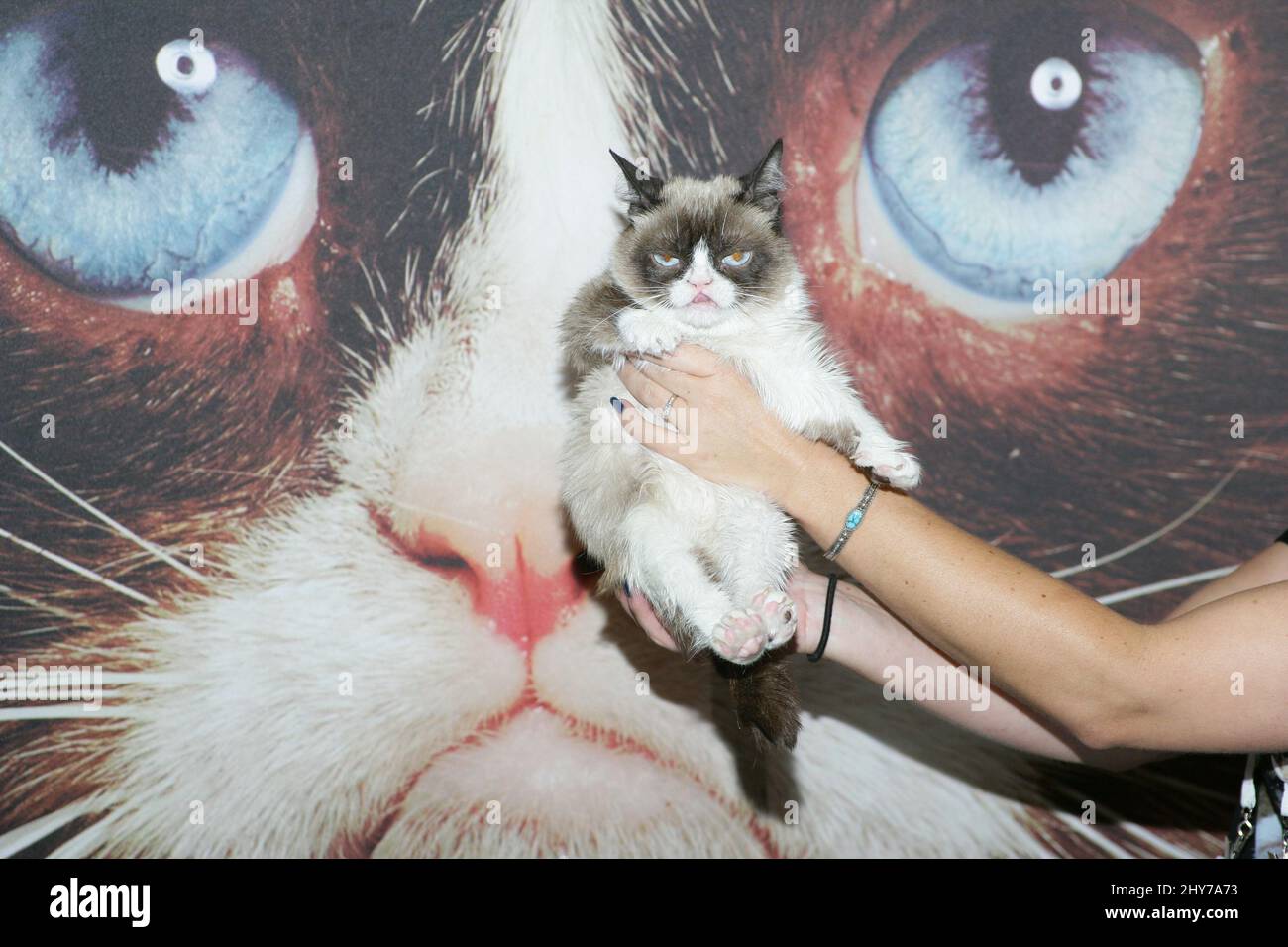 Grumpy Cat attending Licensing Expo 2015 at Mandalay Bay Convention ...