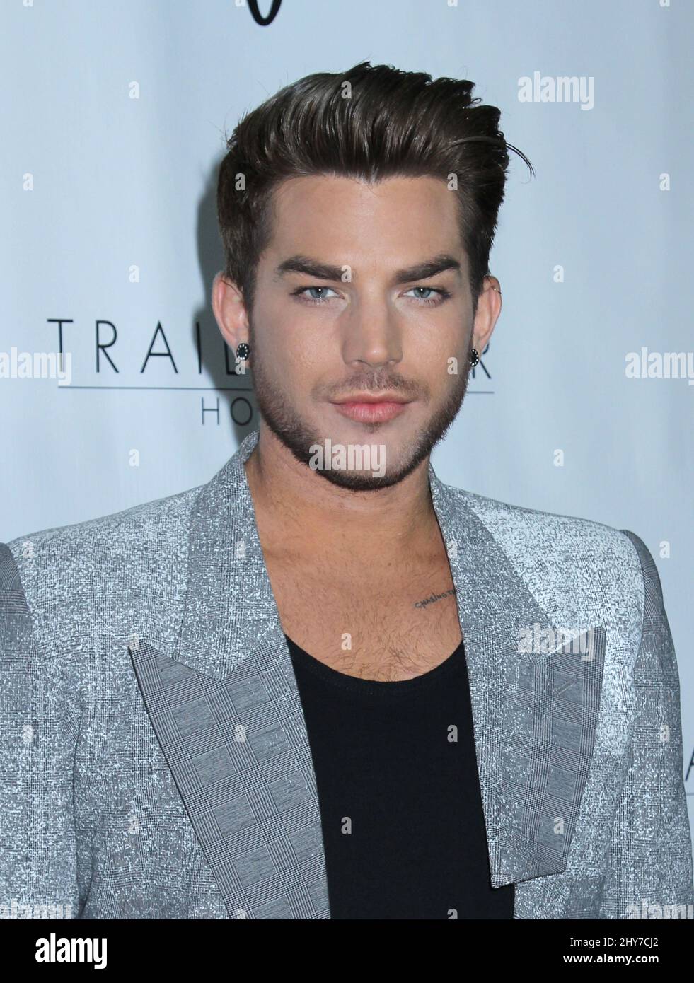 Adam Lambert attending Logo's 'Trailblazer Honors' 2015 held at Cathedral of St. John the Divine in Los Angeles, USA. Stock Photo