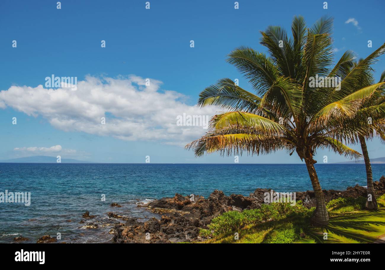 Beautiful beach in Aloha Hawaii. Tropical beach with palms. Holiday and vacation concept. Tropical beach. Stock Photo