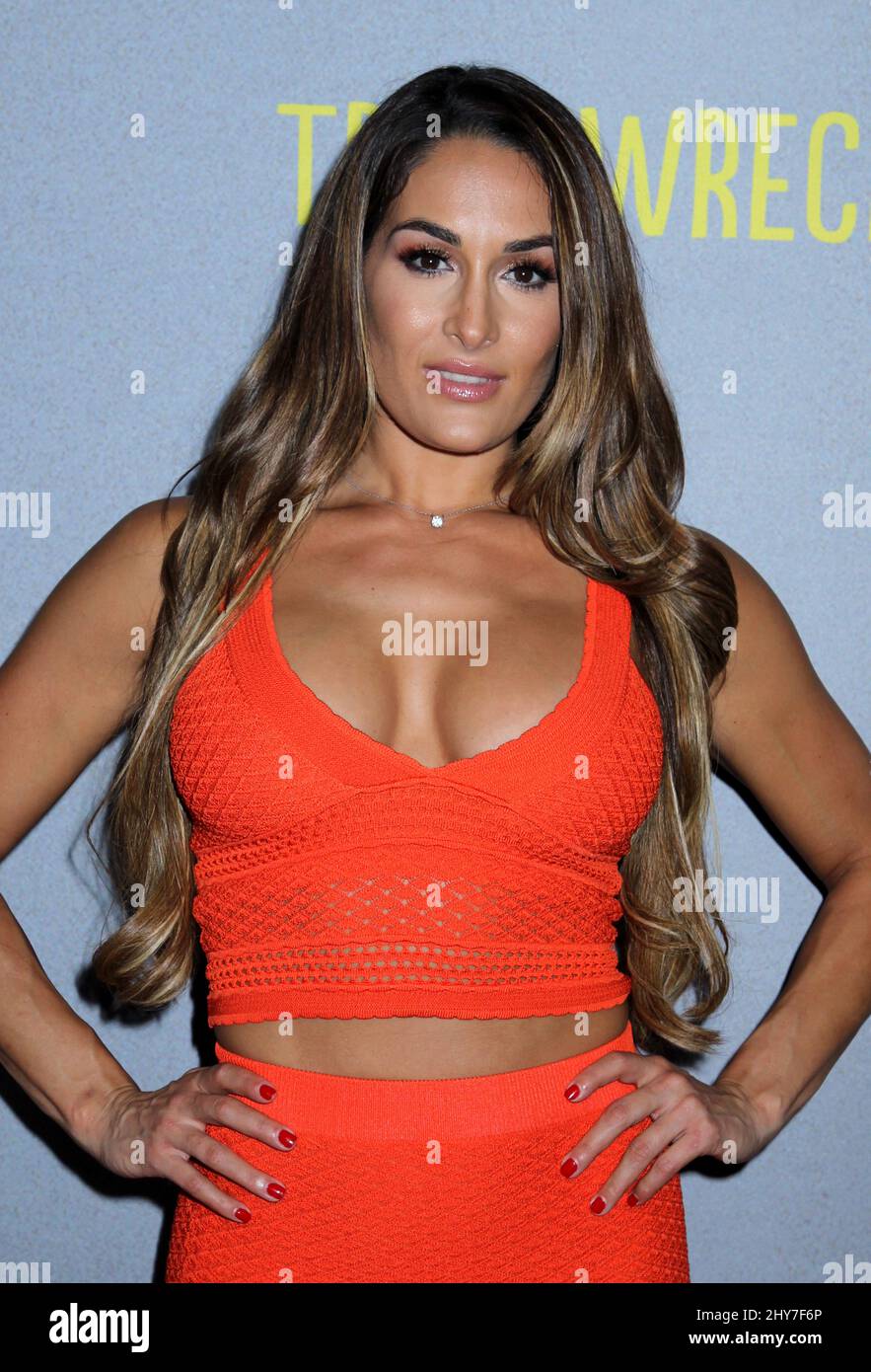 Nikki Bella Clothes and Outfits, Page 2