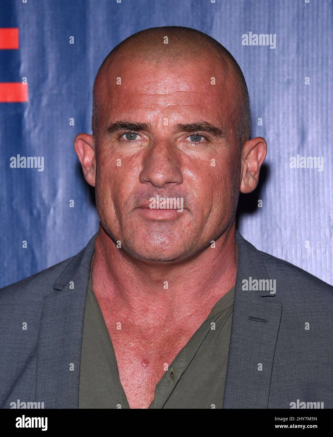 Dominic purcell hires stock photography and images Alamy