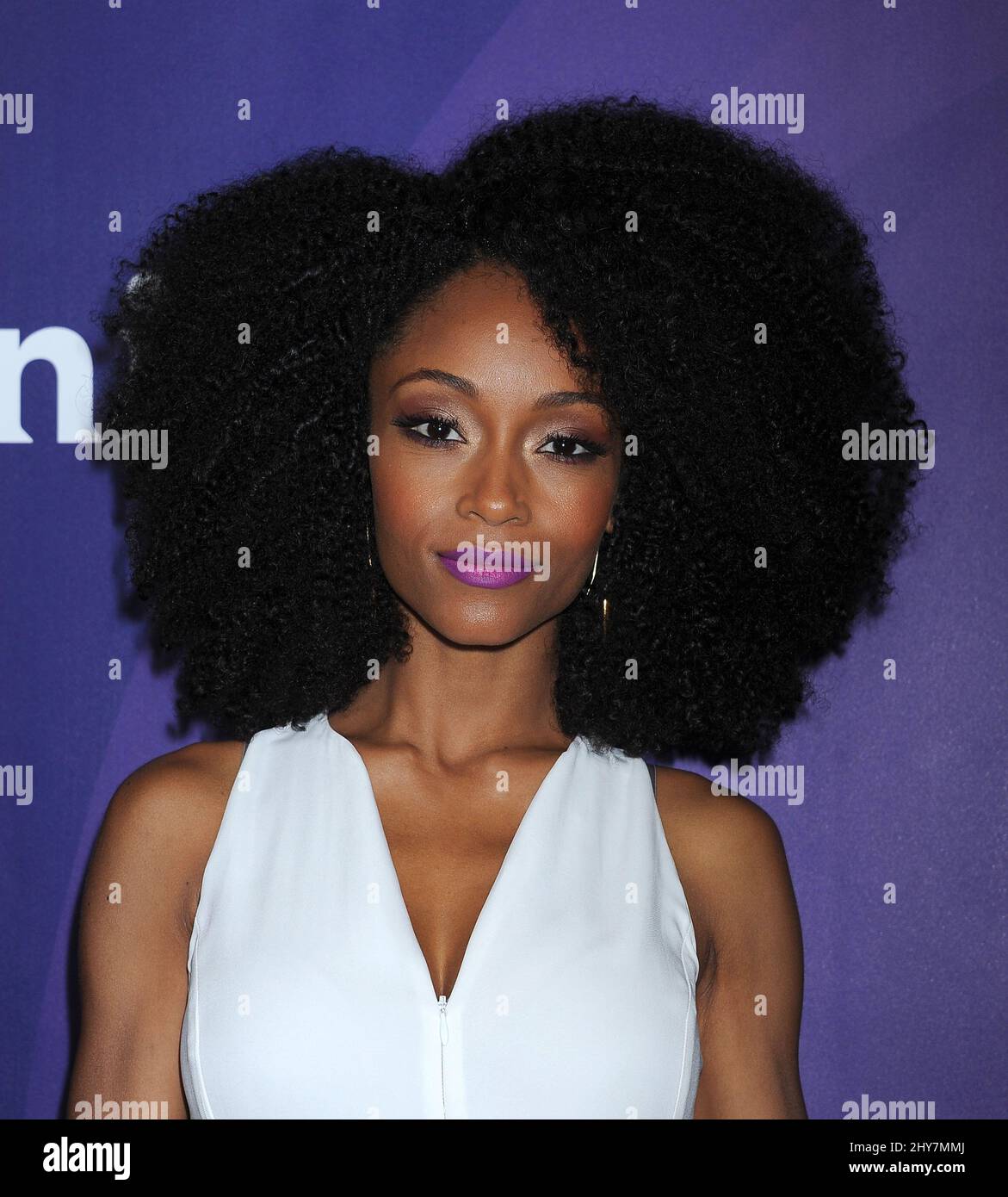 Yaya DaCosta attending the NBCUniversal - Summer 2015 TCA's held at the ...