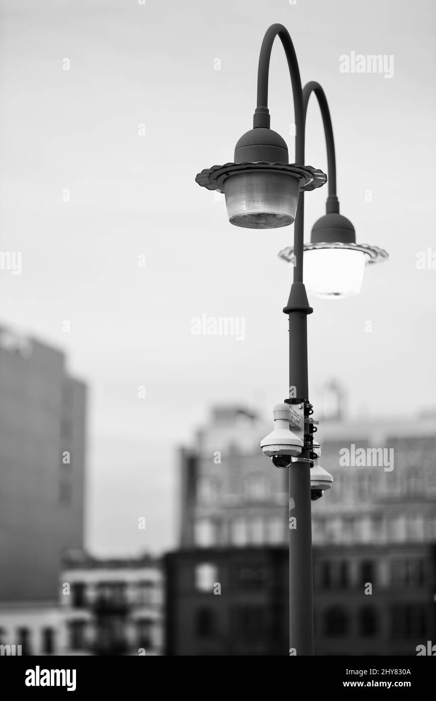 A grayscale of street lamps and buildings in a background Stock Photo