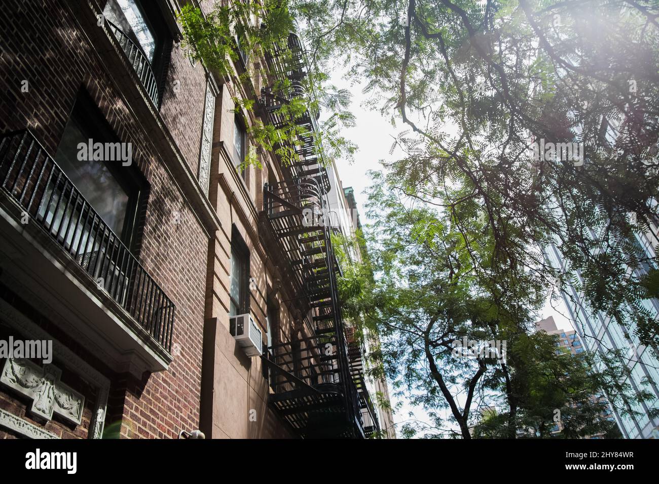 Brick buildings and street trees in Manhattan Stock Photo