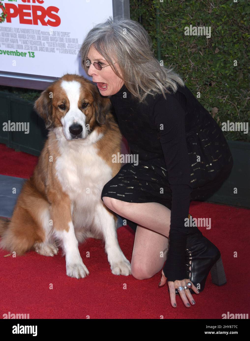 What Breed Of Dog Is In Love The Coopers