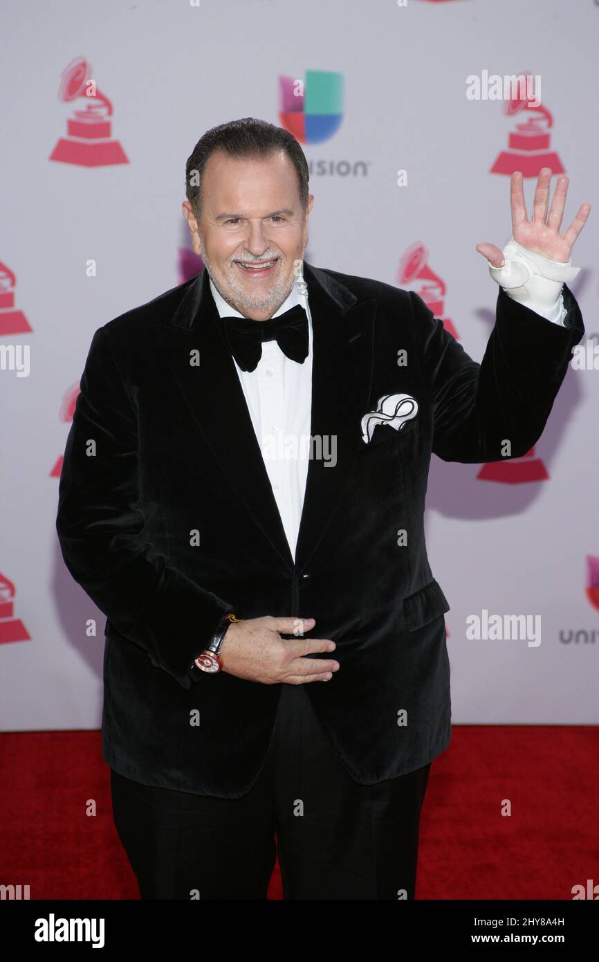 Raul De Molina attends the 2015 Latin Grammy Awards on November 19