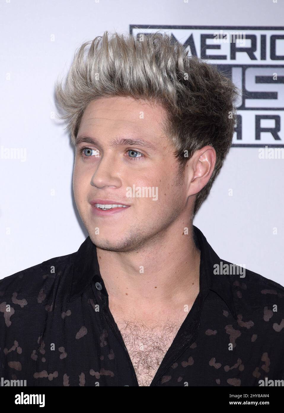 Niall Horan 2015 American Music Awards held at the Microsoft Theatre Stock Photo