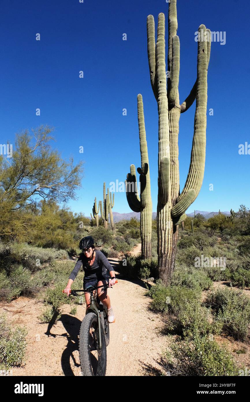 Mcdowell mountain bike park sale