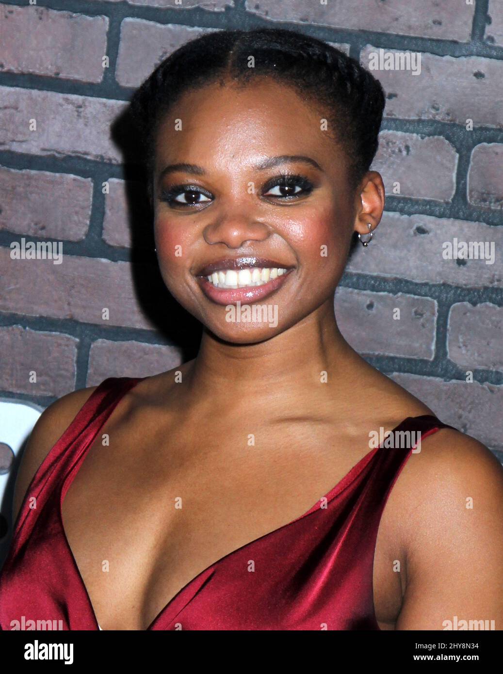 Susan Heyward attends the "'Vinyl" New York Premiere Held at the