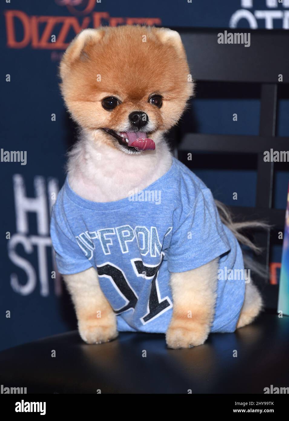 Jiffpom attends the 'High Strung' Los Angeles Premiere held at the TCL Chinese 6 Theatres. Stock Photo