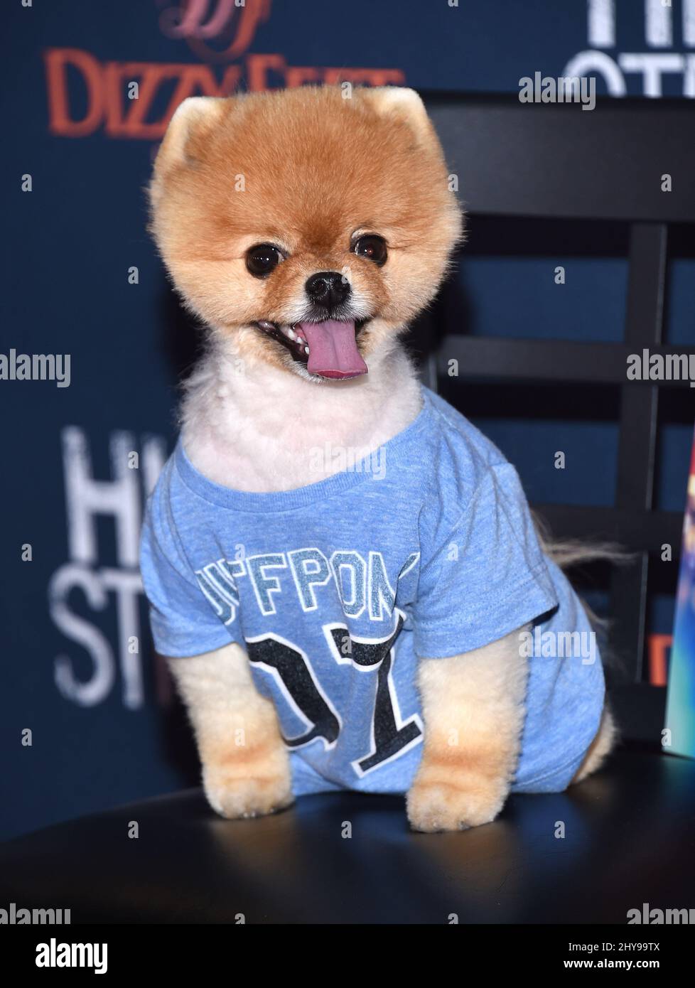 Jiffpom attends the 'High Strung' Los Angeles Premiere held at the TCL Chinese 6 Theatres. Stock Photo