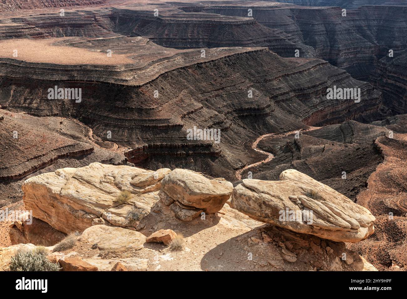 UT00898-00.....UTAH - Sandstone blocks with the San Juan River canyons below viewed from Muley Point in the Glen Canyon National Recreation Area. Stock Photo