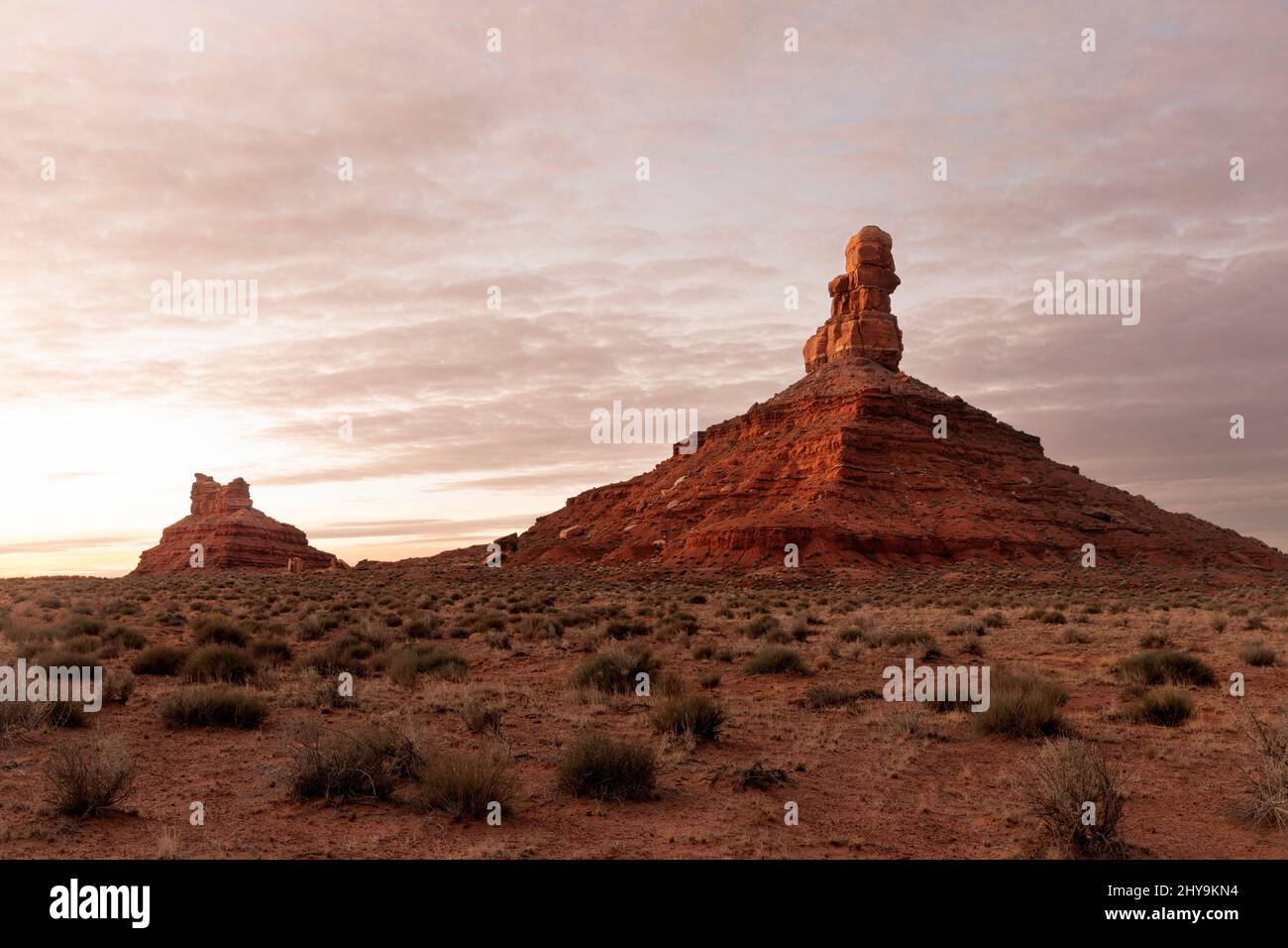 UT00902-00.....UTAH - Rooster Butte and Setting Hen Butte at sunrise in the Valley Of The Gods, Bears Ears National Monument. Stock Photo