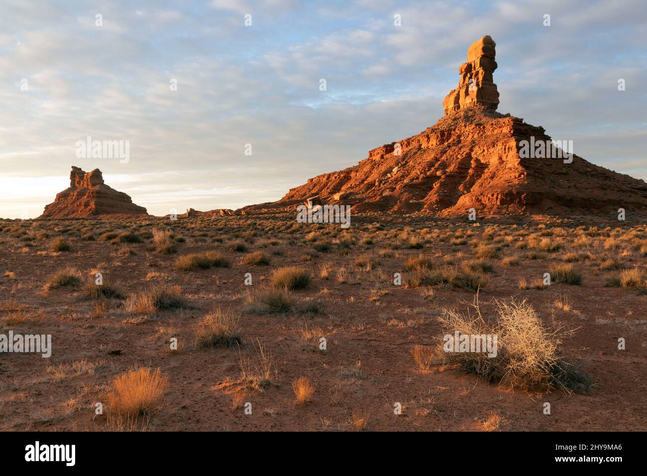 UT00905-00.....UTAH - Rooster Butte and Setting Hen Butte at sunrise in the Valley Of The Gods, Bears Ears National Monument. Stock Photo
