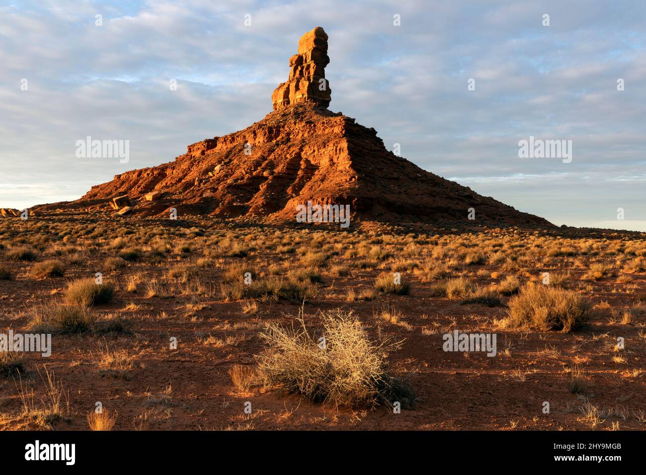 UT00906-00.....UTAH - Rooster Butte at sunrise in the Valley Of The Gods, Bears Ears National Monument. Stock Photo