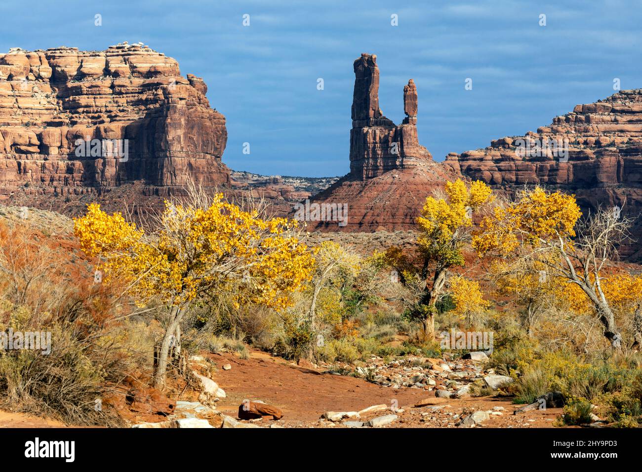 UT00912-00.....UTAH - Cottonwood trees and formation called De Gaulle and his tropops in the Valley Of The Gods, Bears Ears National Monument. Stock Photo