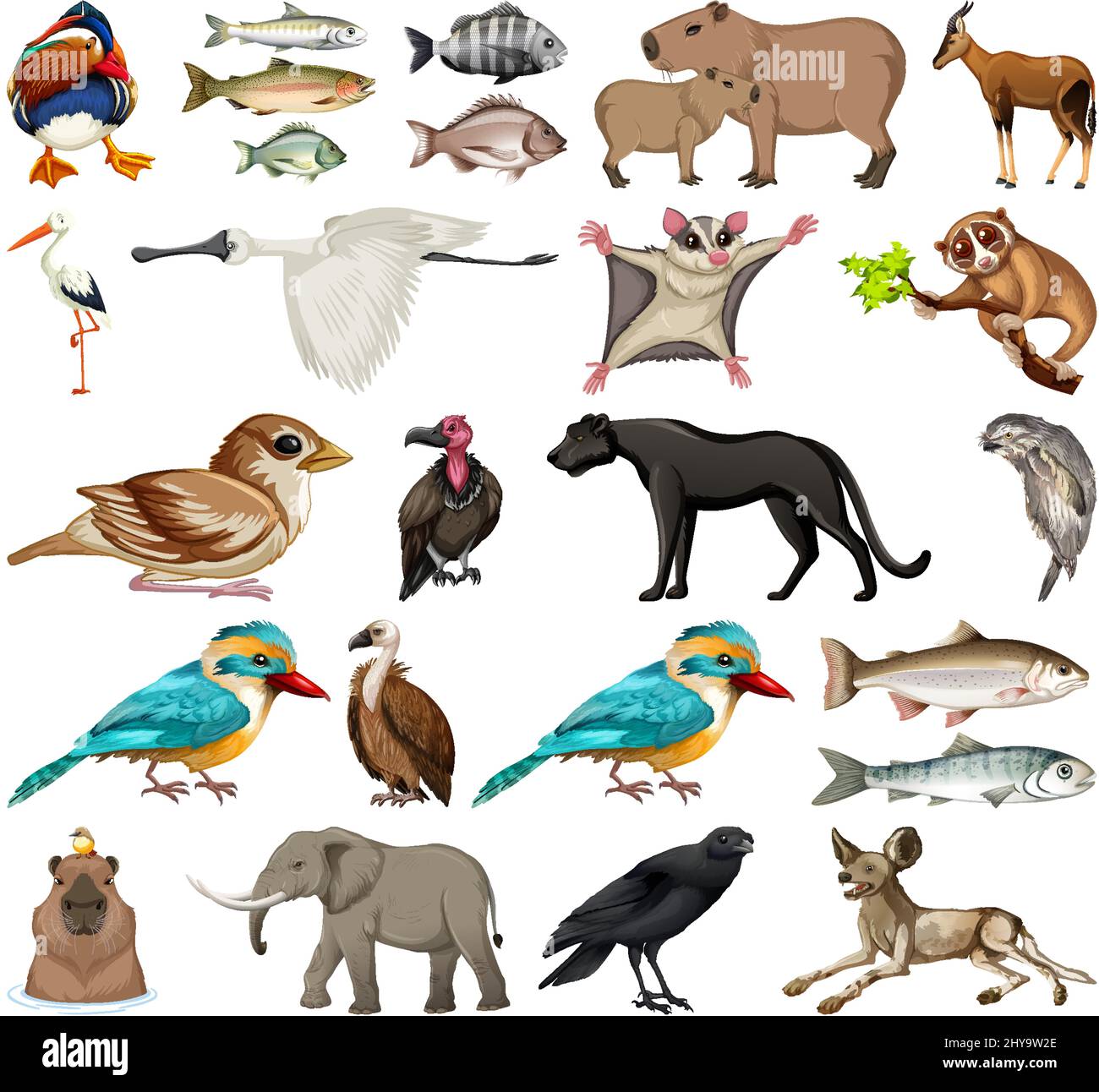 Different kinds of animals collection illustration Stock Vector Image ...