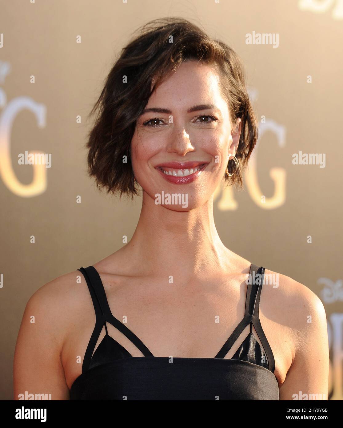 Rebecca Hall attending the premiere of 'The BFG' in Los Angeles. Stock Photo