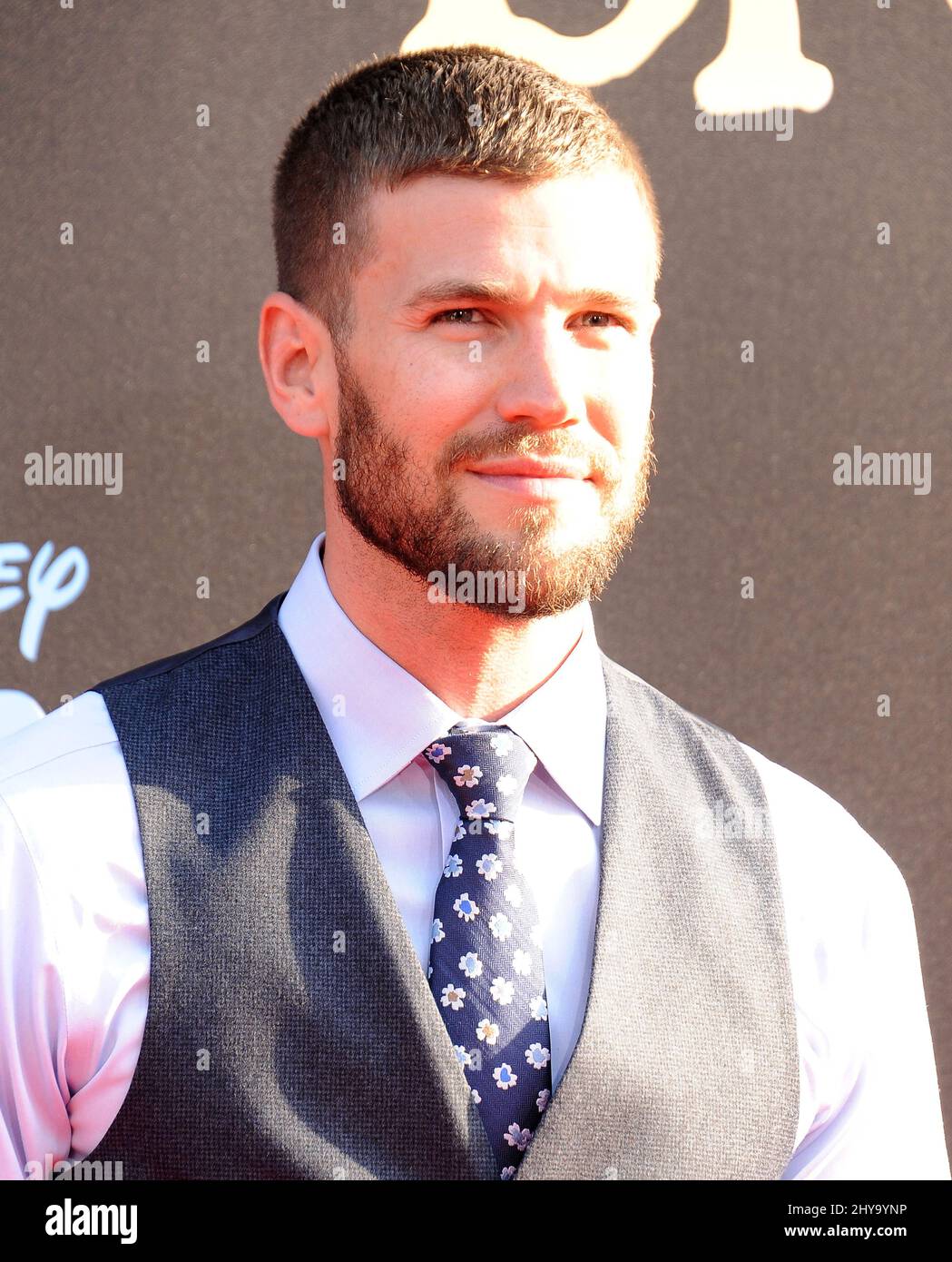 Austin Stowell attending the premiere of 'The BFG' in Los Angeles Stock