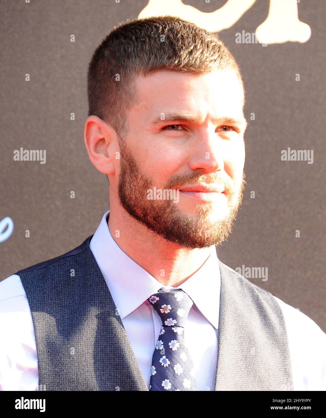 Austin Stowell attending the premiere of 'The BFG' in Los Angeles Stock