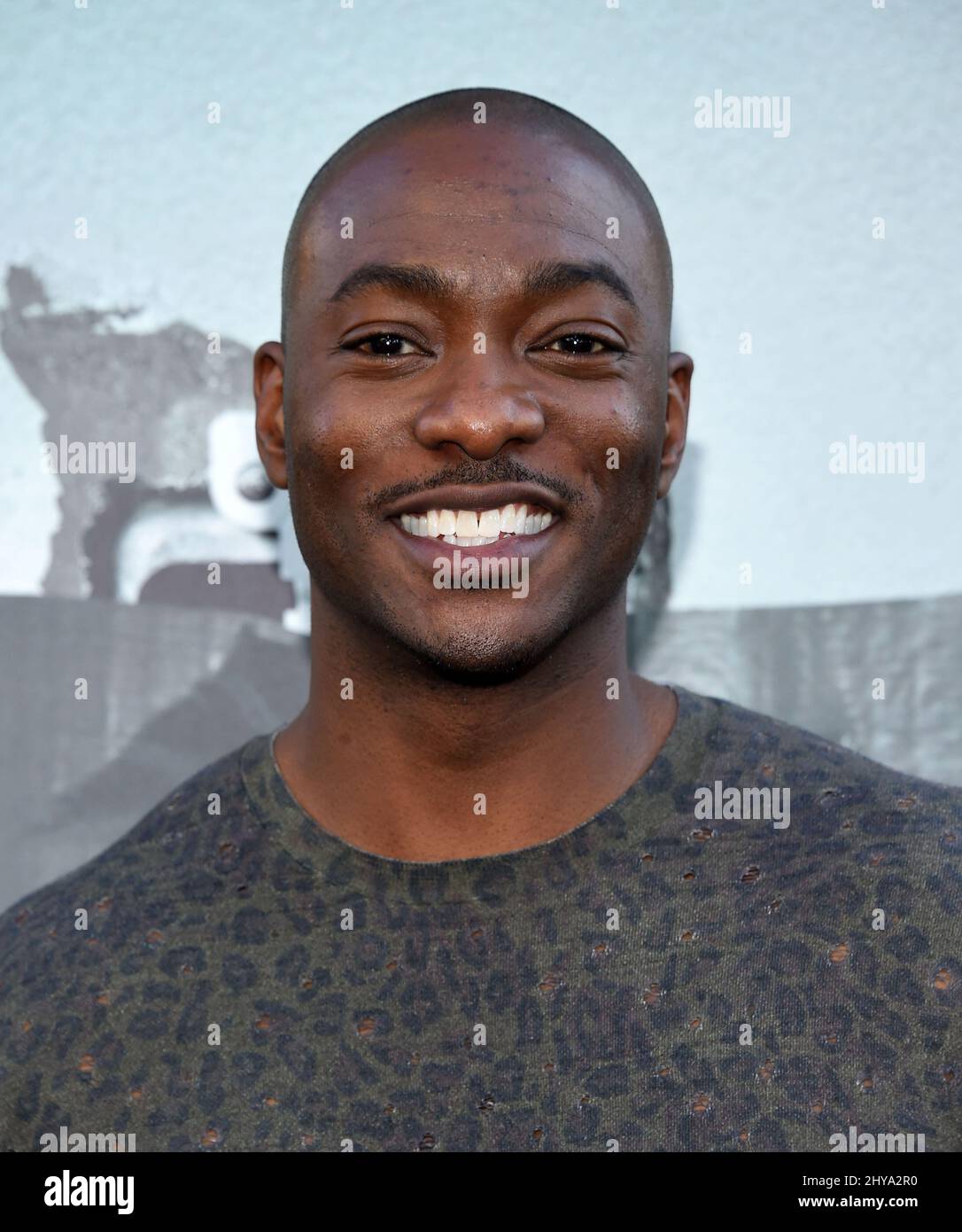 BJ Britt attending the Los Angeles premiere of 'Lights Out' Stock Photo