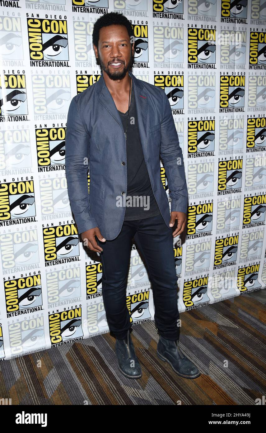Tory kittles hi-res stock photography and images - Alamy