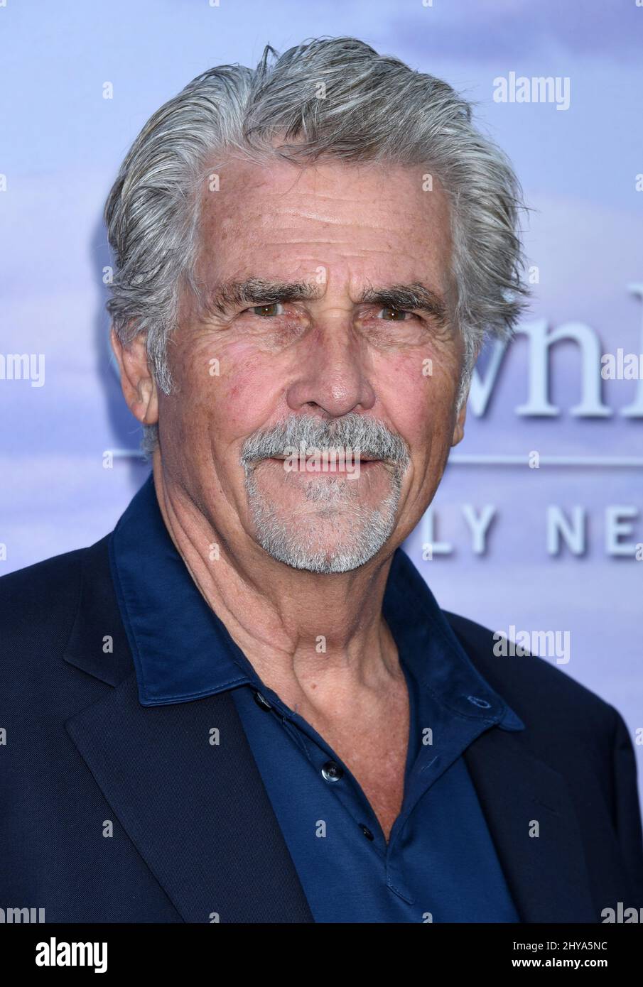 James Brolin attending the Hallmark Channel Summer 2016 TCA Party held