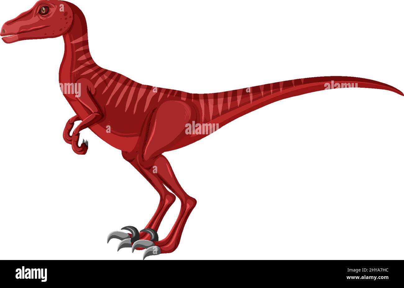 Velociraptor dinosaur on white background illustration Stock Vector