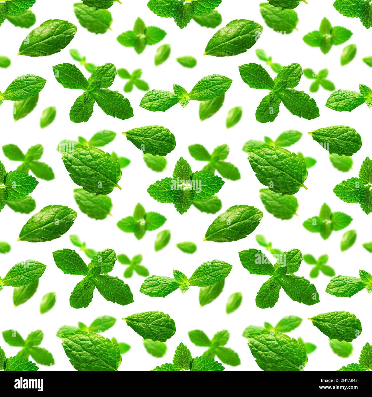 Seamless pattern of fresh mint leaves on white background Stock Photo ...