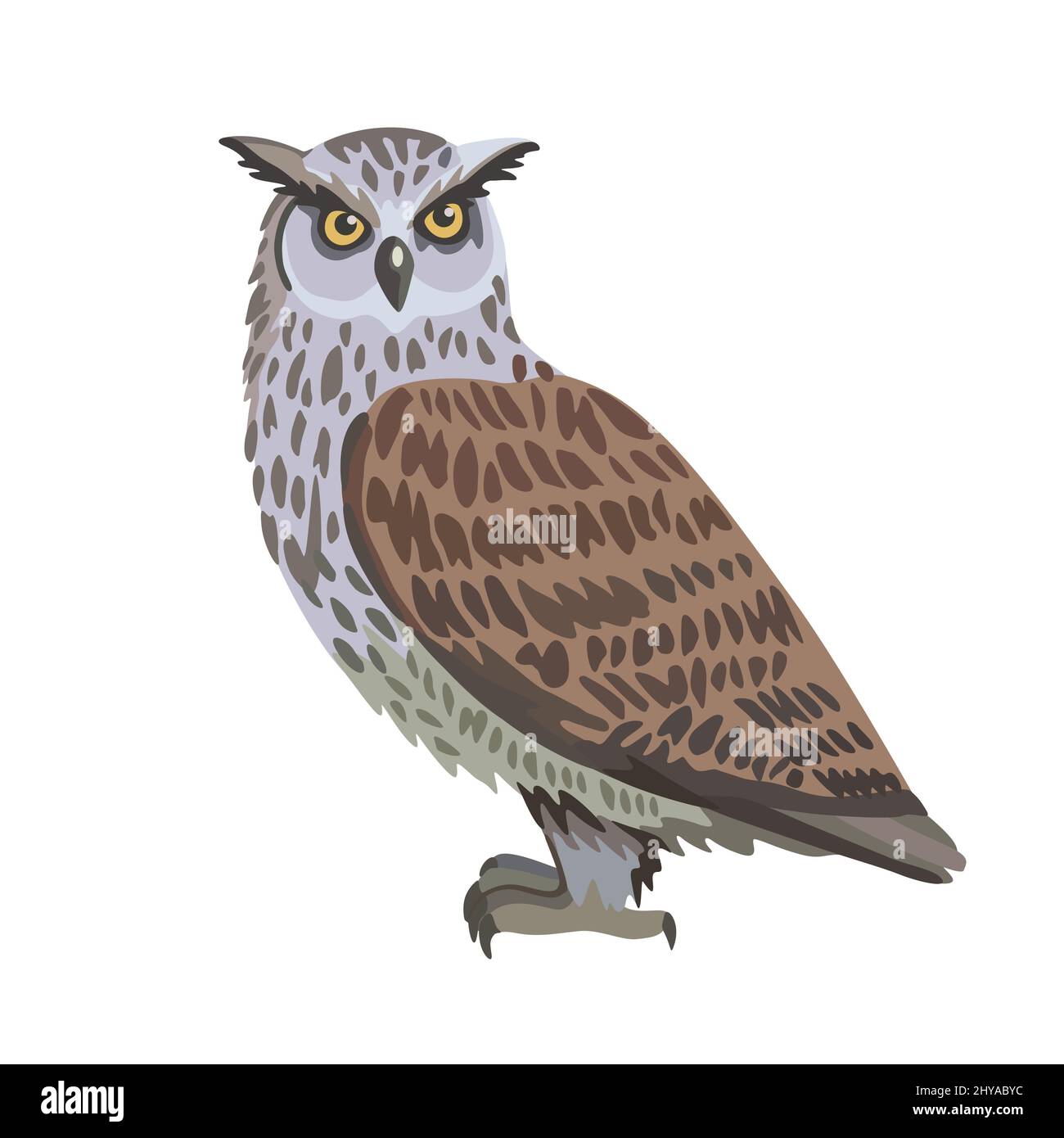 Vector cartoon eagle owl isolated on white background. Stock Vector