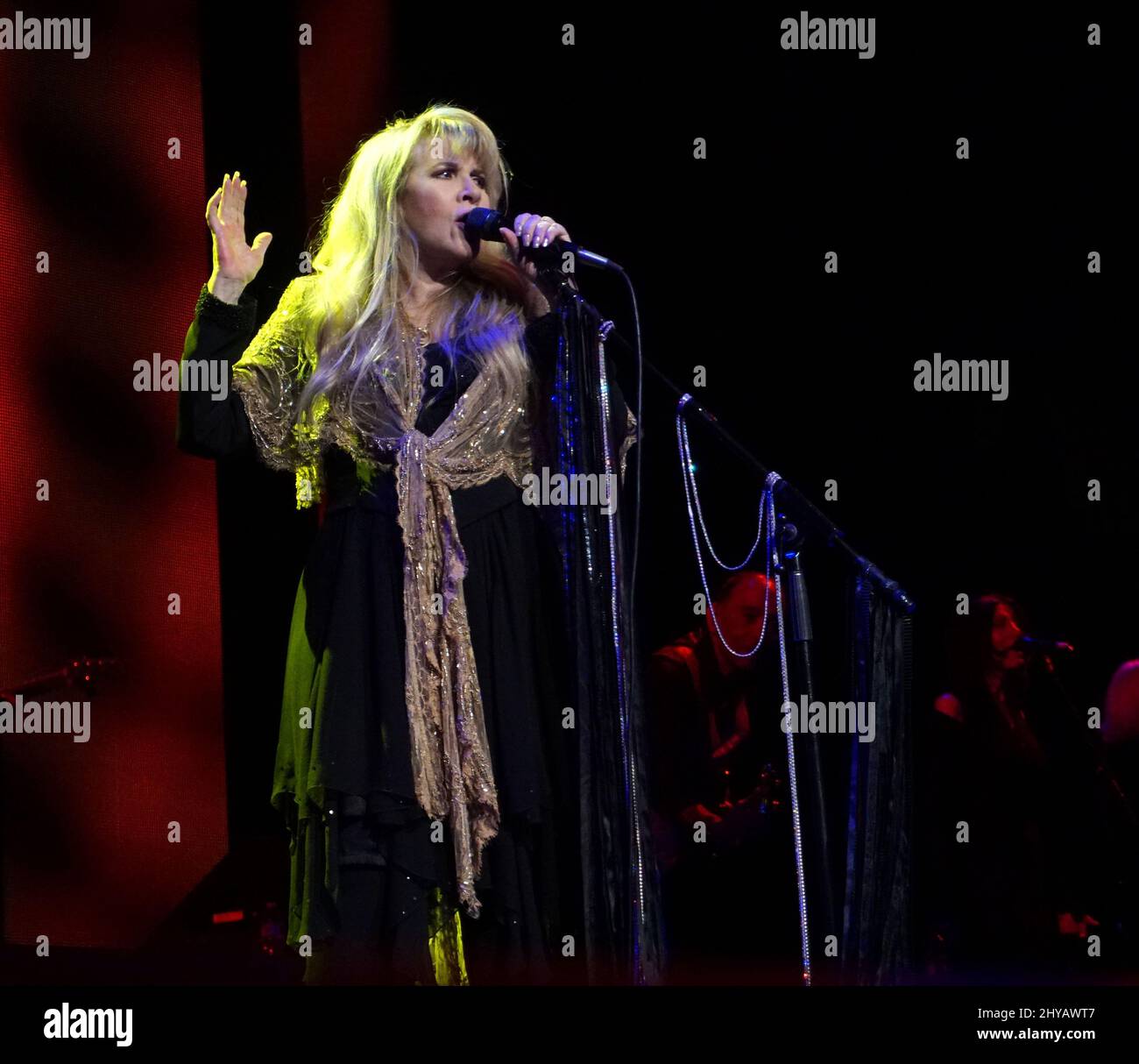 Stevie Nicks performing at the opening night of hometown girl Stevie